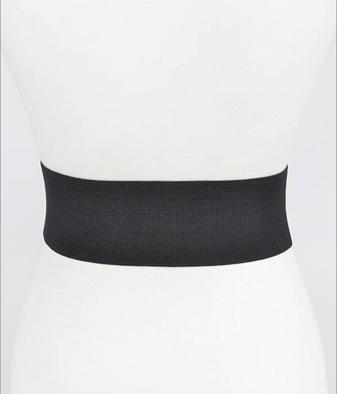 Lion Belt